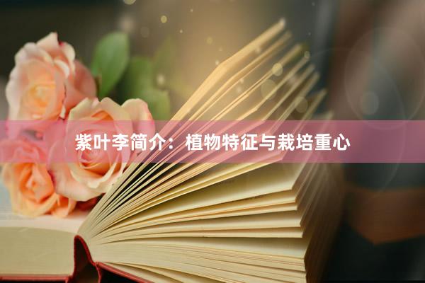 紫叶李简介：植物特征与栽培重心
