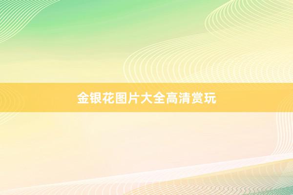 金银花图片大全高清赏玩