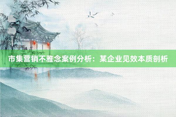 市集营销不雅念案例分析：某企业见效本质剖析